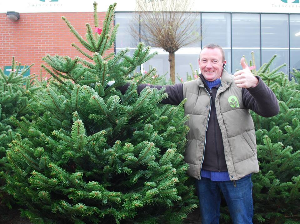 Kerstbomen kopen in Antwerpen