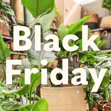 Black Friday Deals bij Rijmenants