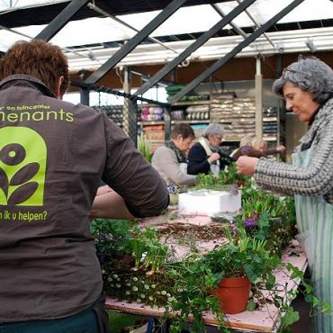 Bloemschikworkshop advent Massenhoven