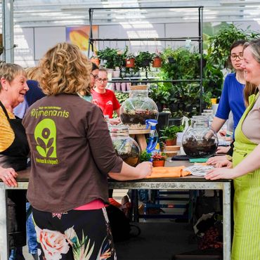 Bloemschikworkshop Advent Massenhoven