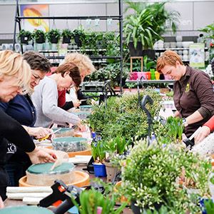 Bloemschikworkshop Herfst Massenhoven