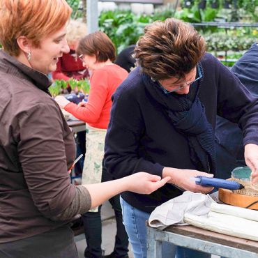 Bloemschikworkshop Kerst Massenhoven