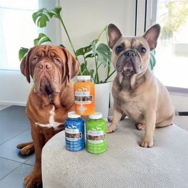 Demo Pharmapets - Massenhoven