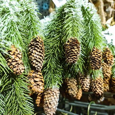 Opening kerstmarkt Wuustwezel