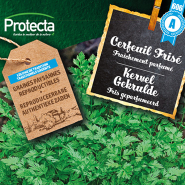 Protecta zaden :  in april -10% op heel het assortiment!