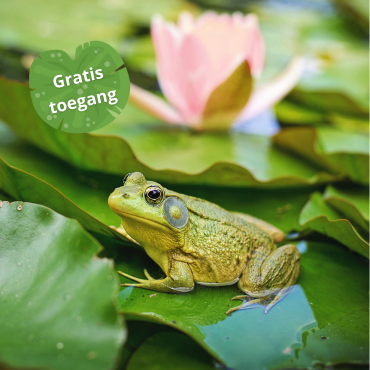 Vijverweekend 1 - 2 - 3 mei