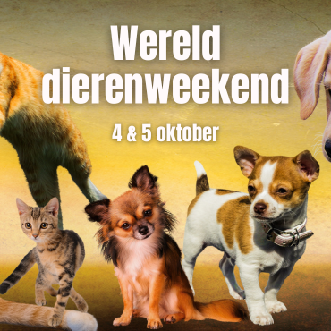 Wereld Dierenweekend 4 & 5 oktober