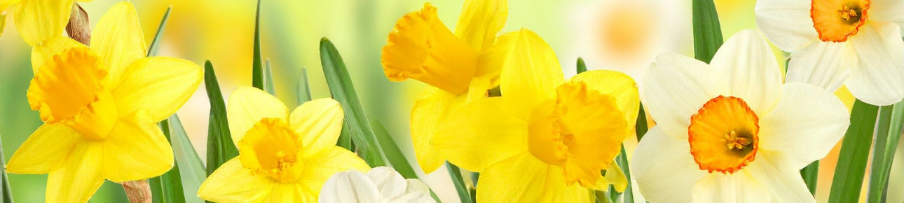 Wij zijn open op Pasen en paasmaandag