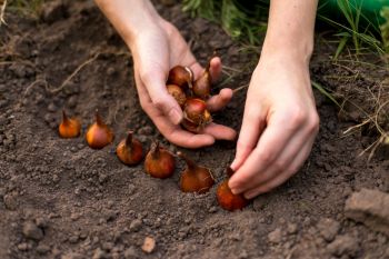 15x Tuintips voor oktober