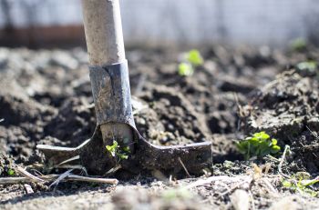 AAN DE SLAG IN JE EIGEN MOESTUIN