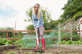 De moestuin in april