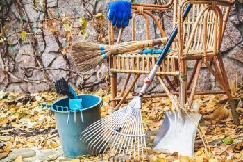 Grote schoonmaak in de herfst