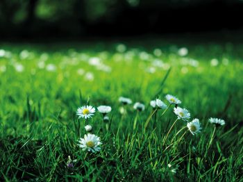 Is dit de start van een vroege lente?