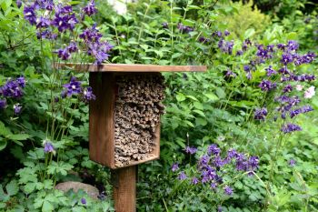 Je tuin, een dierentuin?