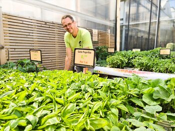 Makkelijk moestuinieren