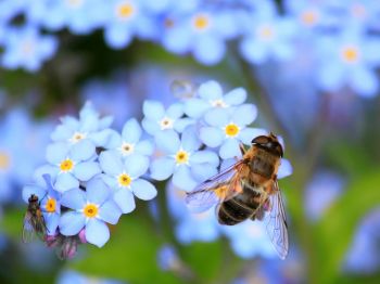 Onze 10 tips voor een beter klimaat