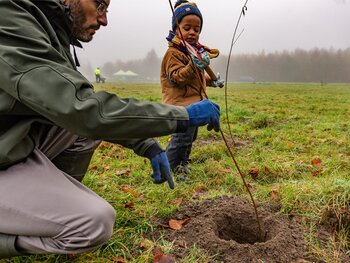 Plant een boom met je klantenkaart!