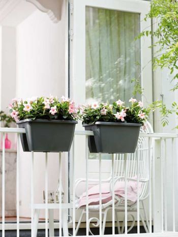 Stappenplan voor een bloemrijk terras of balkon