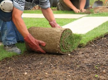 Tips voor uw gazonaanleg