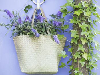 Trend: een hanging basket