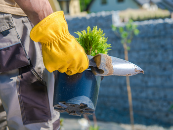 Zet je tuin klaar voor de lente: 5 tips voor een frisse start