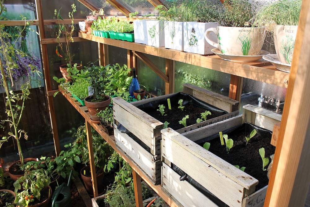 Moestuin Huis- tuincenter Rijmenants