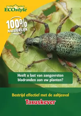 aaltjes tegen taxuskevers (val)