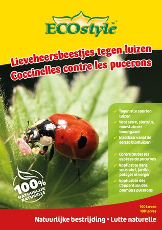 Lieveheersbeestjes (Adalia) tegen luizen 100 larven