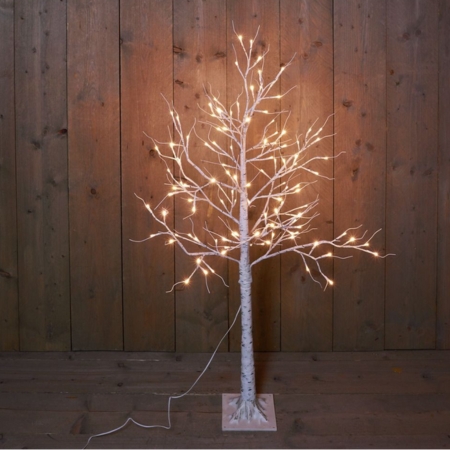 berkenboom wit 120l/l130cm ww