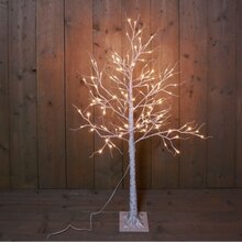 berkenboom wit 120l/l130cm ww