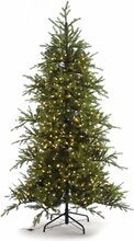 decorator tree h228cm 900 dual led 10f