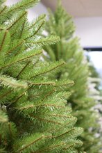 dunhill fir hinged h152cm - afbeelding 5