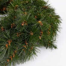 forest frosted wreath green d60cm - afbeelding 3