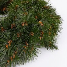 forest frosted wreath green d60cm - afbeelding 3