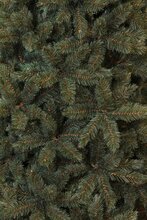 forest frosted x-mas tree newgrowth blue h155xd119cm - afbeelding 3