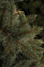 forest frosted x-mas tree newgrowth blue h155xd119cm - afbeelding 4