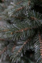 forest frosted x-mas tree newgrowth blue h215xd140cm - afbeelding 3