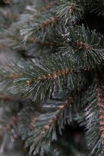 forest frosted x-mas tree newgrowth blue h215xd140cm - afbeelding 3