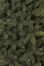 forest frosted x-mas tree newgrowth blue h230xd157cm - afbeelding 3
