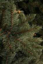 forest frosted x-mas tree newgrowth blue h230xd157cm - afbeelding 4