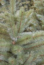 forest frosted x-mas tree slim green h155xd86cm - afbeelding 3