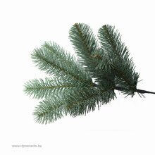 poly downswept douglas fir blue slim hinged h228cm - afbeelding 2