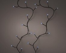 led basic tw.l1800cm-240l zwrt/blw