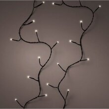 led basic tw.l1800cm-240l zwrt/w.wt