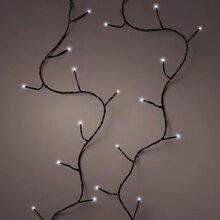 led basic tw.l1350cm-180l zwrt/k.wt