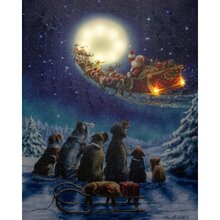 ledcanvas 2lh48b38cm maan/honden