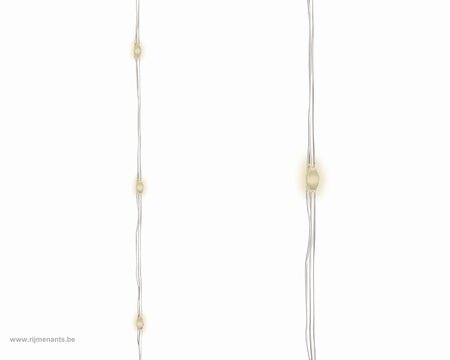 microled bunch 6m-120l zlvr/w.wt