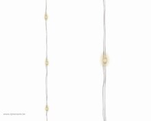 microled bunch 6m-120l zlvr/w.wt
