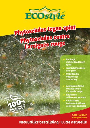 Phytoseiulus tegen spint