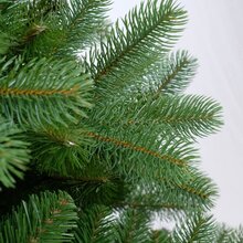 poly bayberry slim hinged h274cm - afbeelding 2
